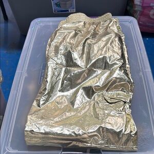 Shiny Gold Pants